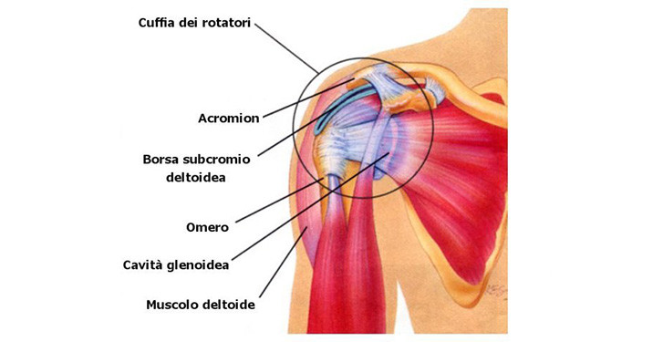 Cuffia dei rotatori