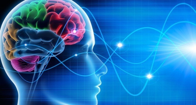Neuropatologie