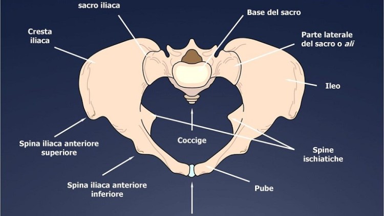 Dolori funzionali del piccolo bacino