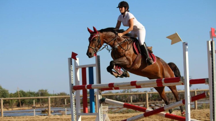 lesioni-cavallo-salto