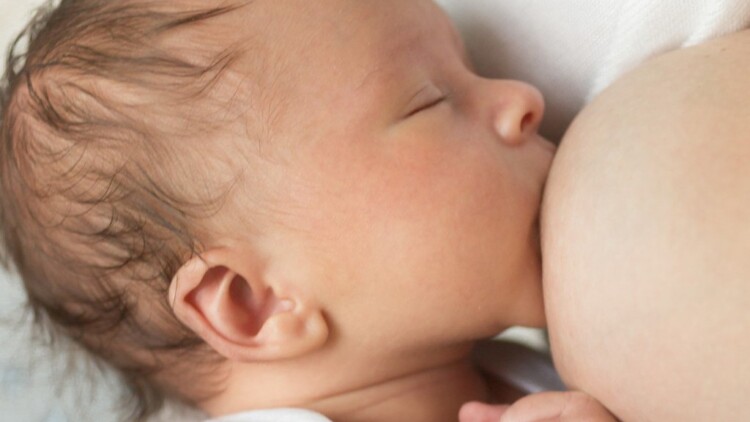 riallattamento-seno-neonato