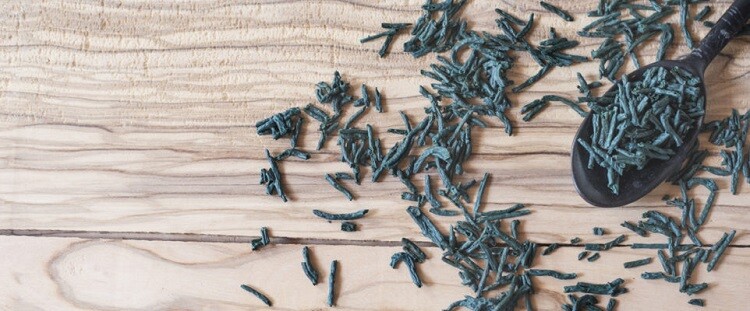 spirulina-alga-ApuliaKundi