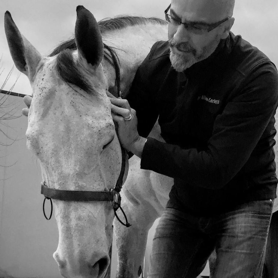 osteopatia-equina-trattamento