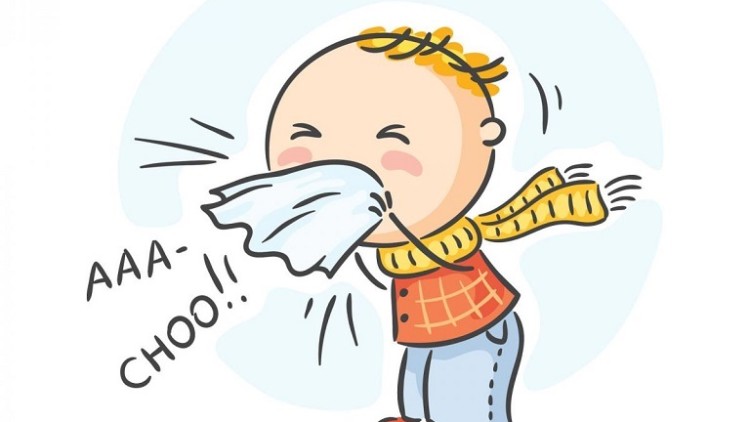 Influenza: l’«impresa di pulizie» stagionale per disintossicarci