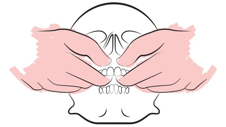 Osteopatia e Dentosofia: uno sguardo alla salute globale della persona a partire dalla bocca