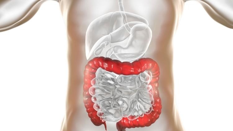 Quando la salute della schiena passa dall’intestino