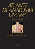 Testi atlanti di anatomia