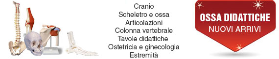 banenr_ossa Ossa didattiche