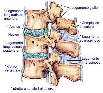BLT – Bilanciamento delle tensioni legamentose