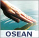 O.S.E.A.N. – Osteopathic European Academic Network