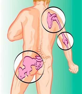 Osteopati “in rete”. Interattività e partecipazione sono le parole d’ordine di Tuttosteopatia.it