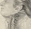 Storia dell’anatomia